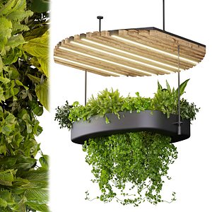 Collection plant vol 540 - chandelier - ampelous - ivy - pothos 3D model