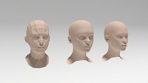 woman heads 3D model