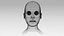 woman heads 3D model