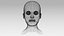 woman heads 3D model