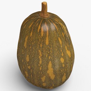 realistic pumpkin max