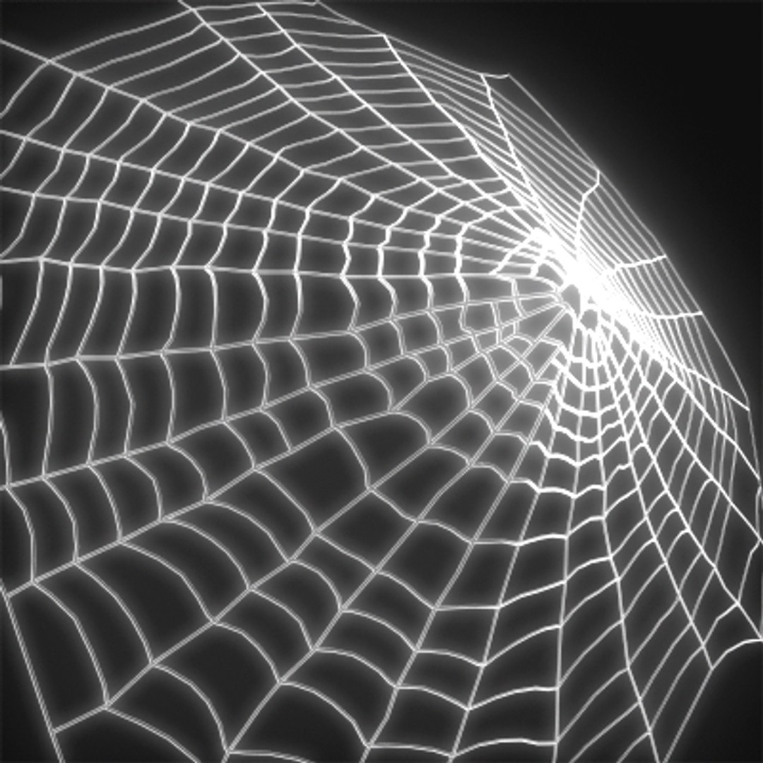 spider web 3d model https://p.turbosquid.com/ts-thumb/tX/LV8wqn/xasCwNE1/spiderweb.7/png/1232606890/1920x1080/fit_q87/e06646ddbe9420382ca9aad4aff9e595f78423b2/spiderweb.7.jpg