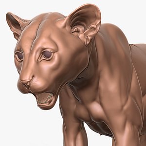 3D Mountain Lion Puma Cougar Cub Primary Forms Zbrush Sculpt