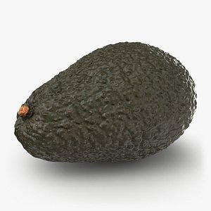 Ripen Avocado - 3D Scanned model