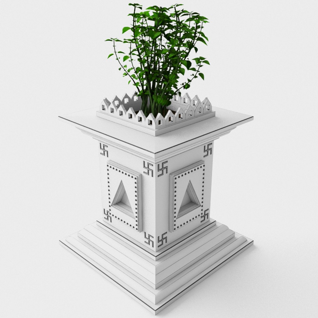 Holy Basil Plant 3D Model TurboSquid 1282230