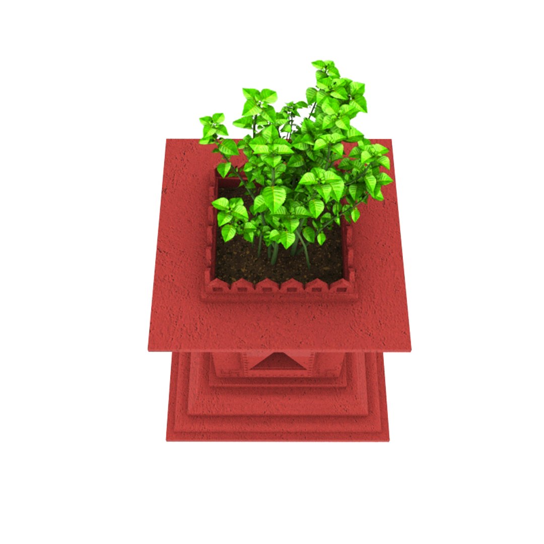 Holy Basil Plant 3D Model TurboSquid 1282230