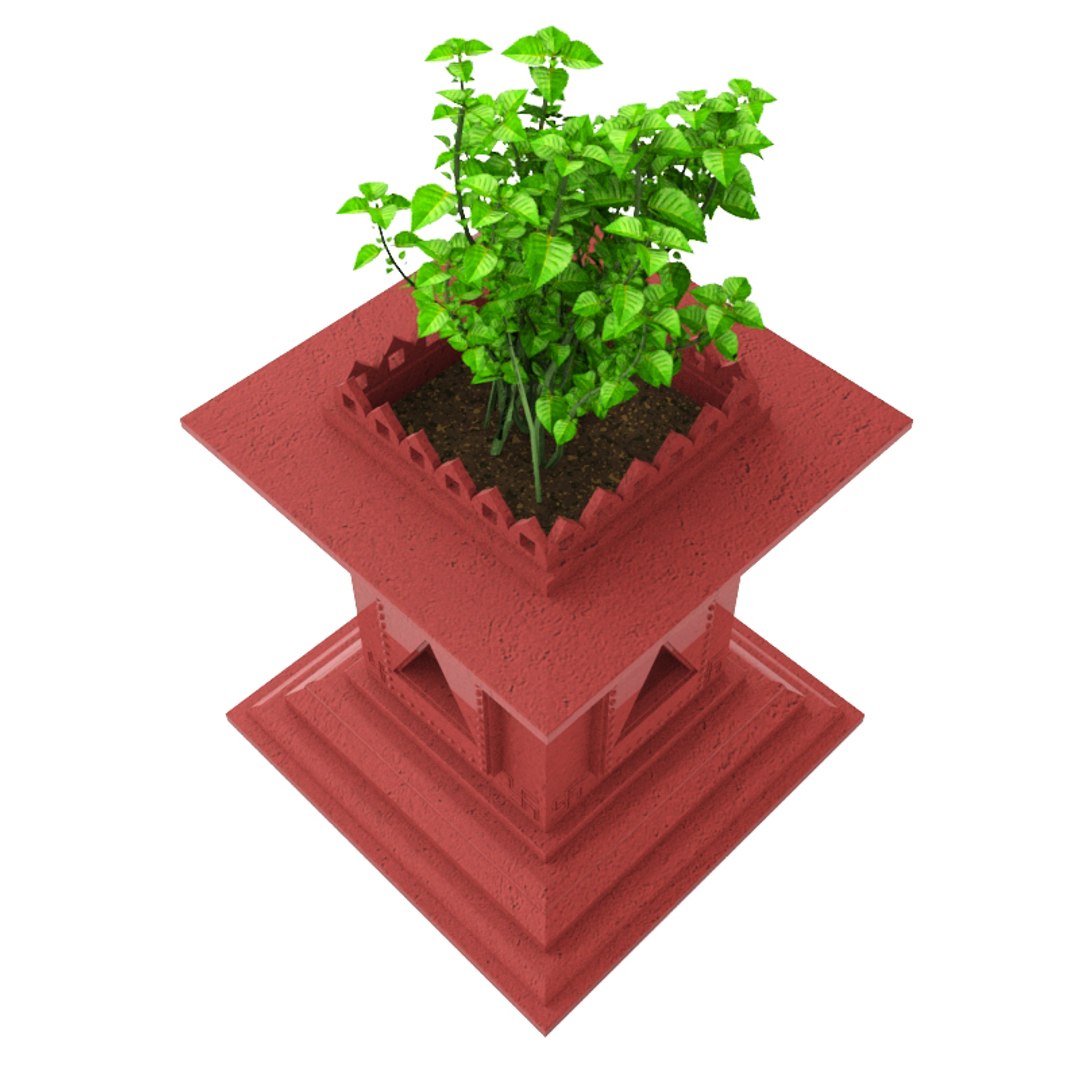 Holy Basil Plant 3D Model TurboSquid 1282230