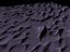 Forgotten Sands
