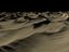Forgotten Sands