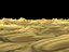 Forgotten Sands