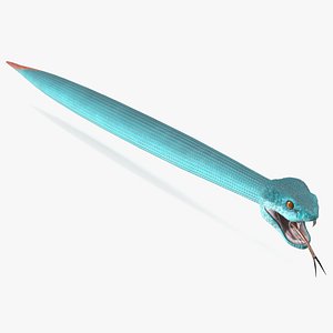 Blue Trimeresurus Snake