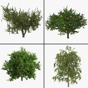 3dsmax fruit tree 2