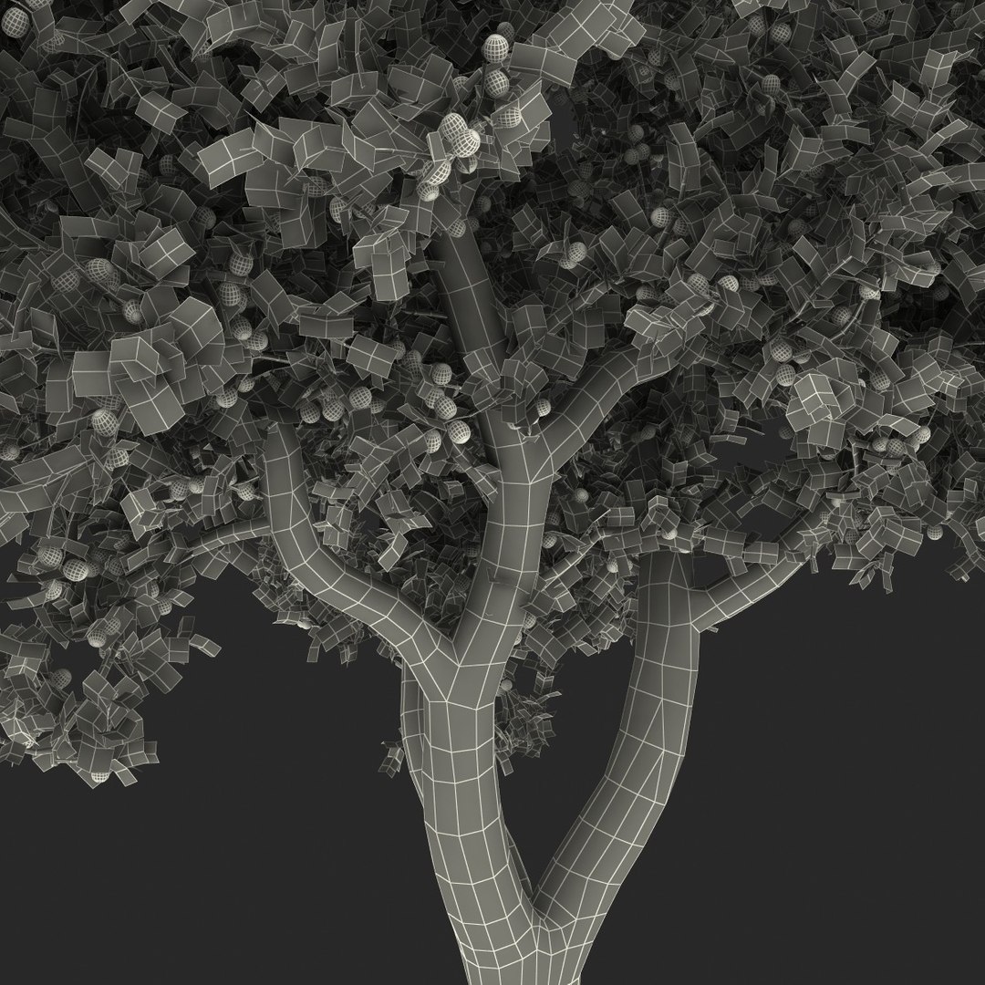 3dsmax Fruit Tree 2