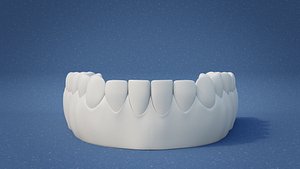 Teeth