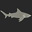 Акула быка, сфальсифицированная для Cinema 4D