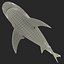 Акула быка, сфальсифицированная для Cinema 4D