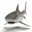 Акула быка, сфальсифицированная для Cinema 4D