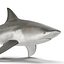 Акула быка, сфальсифицированная для Cinema 4D