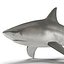 Акула быка, сфальсифицированная для Cinema 4D