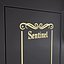 Gun Security Cabinet Sentinel