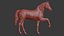 Cavalo