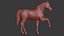 Cavalo