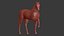 Cavalo