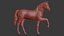 Cavalo