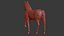 Cavalo