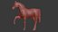 Cavalo