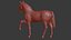 Cavalo