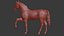 Cavalo