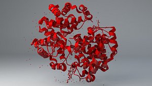 scientific hemoglobin structure 3D model