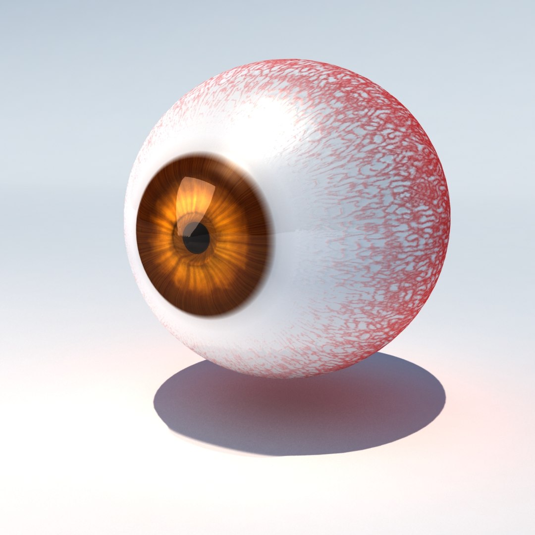 3d Model Of Human Eye Animate