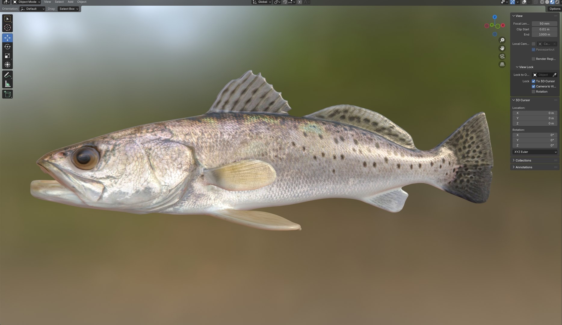 3D Spotted Seatrout fish model https://p.turbosquid.com/ts-thumb/tZ/169Efw/4I/6/jpg/1767514105/1920x1080/fit_q87/9197db5e8ea3af3a51605bd0d6188279bf88c5c9/6.jpg