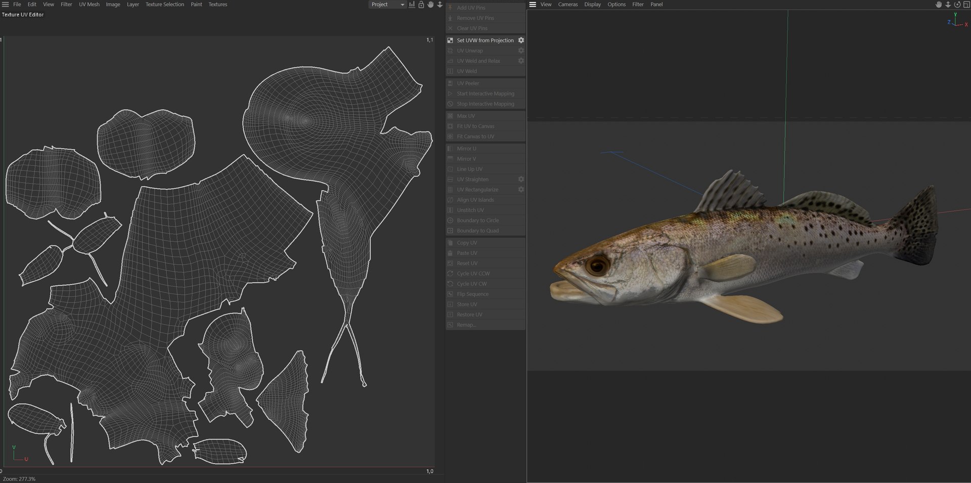 3D Spotted Seatrout fish model https://p.turbosquid.com/ts-thumb/tZ/169Efw/ZV/uv/jpg/1767514100/1920x1080/fit_q87/2064e5870e98dfbb2a598698338a341593cb9987/uv.jpg