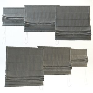 Roman Roller Shades(1)