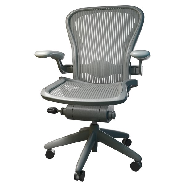 aeron max