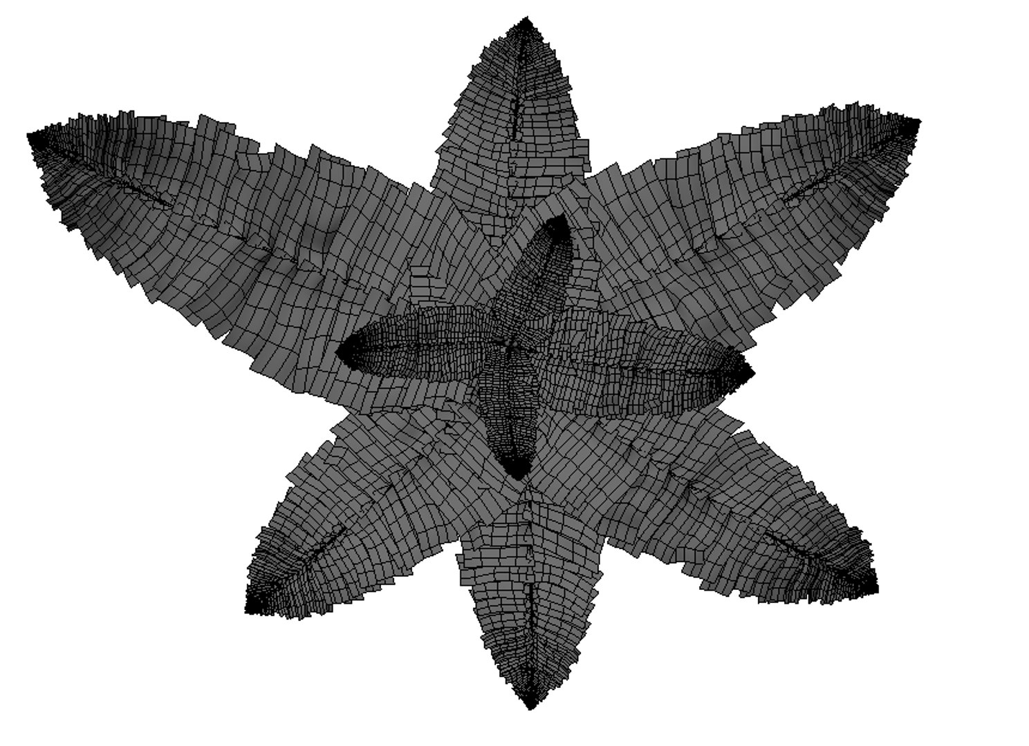 fern 3d model https://p.turbosquid.com/ts-thumb/tZ/5XTXjH/JYYDcy38/farn_wireframe_2/png/1385045233/1920x1080/fit_q87/d9a5946e1404ce83e6982c2d4c001f84e3640065/farn_wireframe_2.jpg
