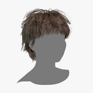 Female Hair - 019 3D model