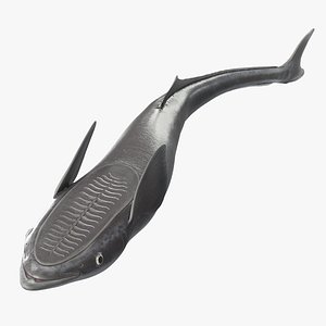 3D Remora Fish with Folded Fins model