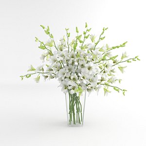 3d orchid flower white model