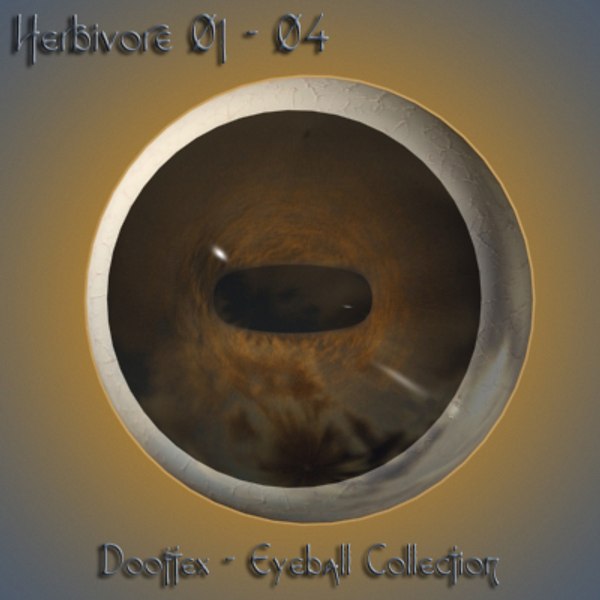3d model herbivore eye pupil