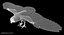 Snowy Owl Animated