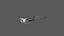 Snowy Owl Animated