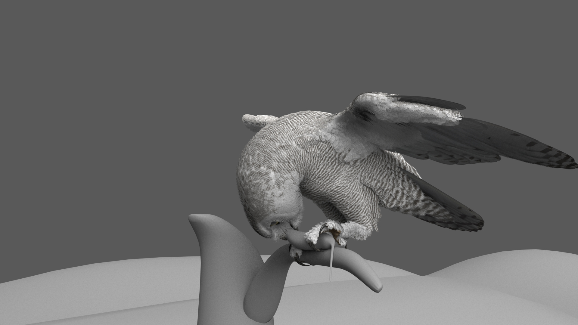snowy owl animation model https://p.turbosquid.com/ts-thumb/tZ/NuNgcZ/p1C2kbFp/snowyowl_takeoff_attack_land/jpg/1578294813/1920x1080/turn_fit_q99/a019456c202b15083f55ab258870efad7a75102f/snowyowl_takeoff_attack_land-1.jpg
