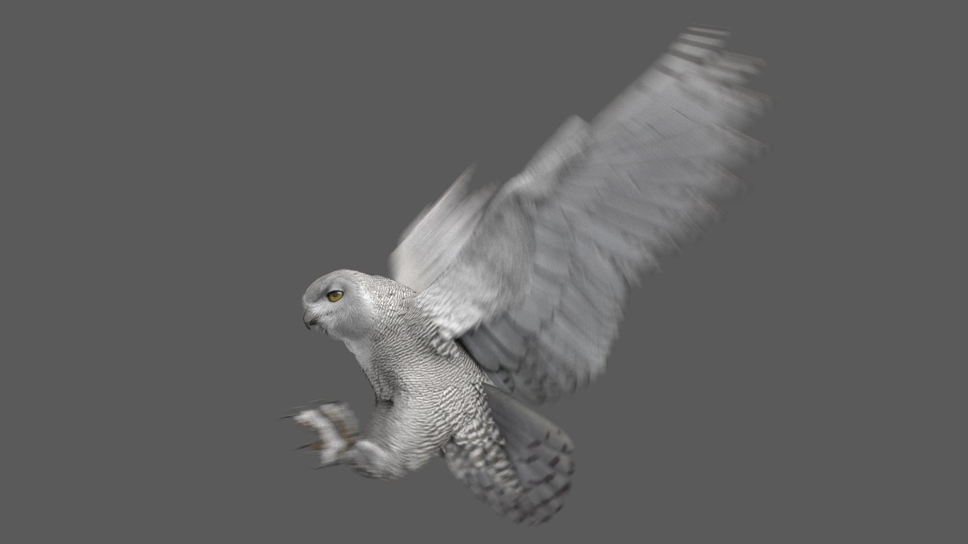 snowy owl animation model https://p.turbosquid.com/ts-thumb/tZ/NuNgcZ/v7GvT7WJ/ra03/jpg/1578291608/1920x1080/fit_q87/19d27869f2e33896d85683678af1eef8da307420/ra03.jpg