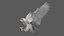 Snowy Owl Animated