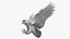 Snowy Owl Animated
