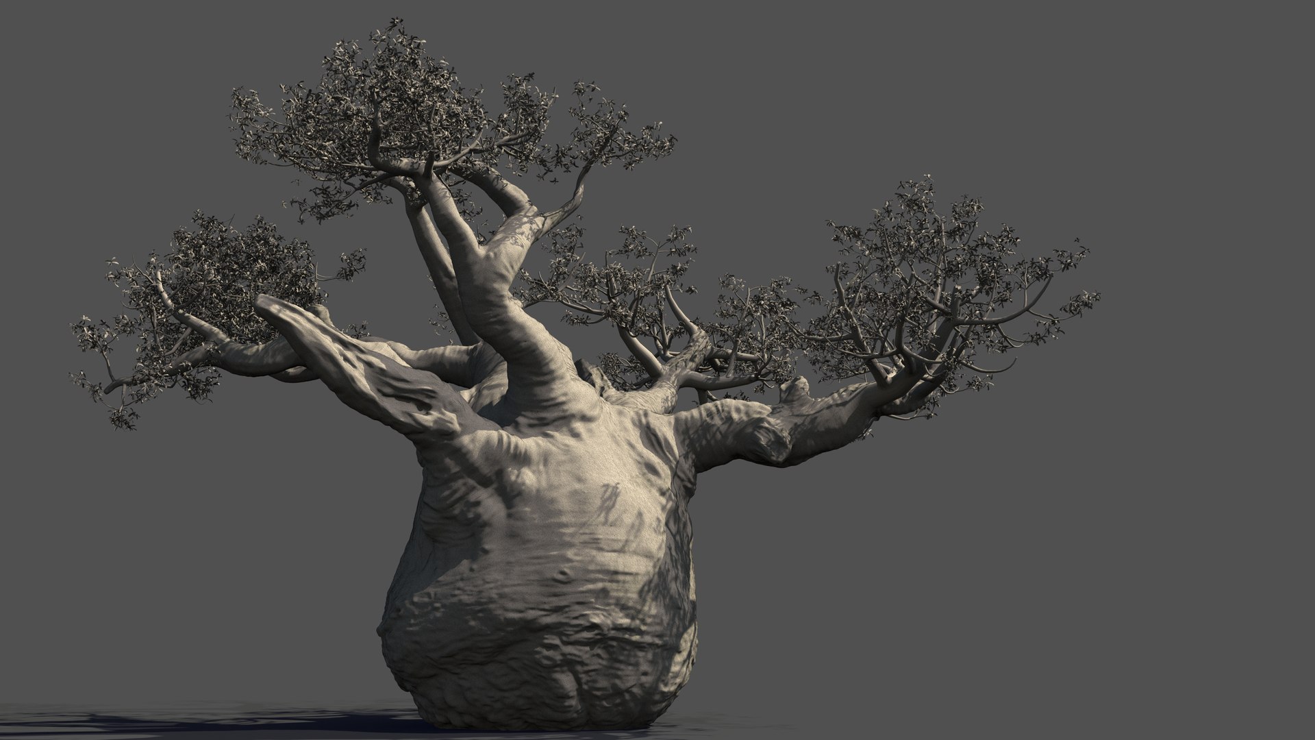 3D Baobab Tree Model - TurboSquid 2213720
